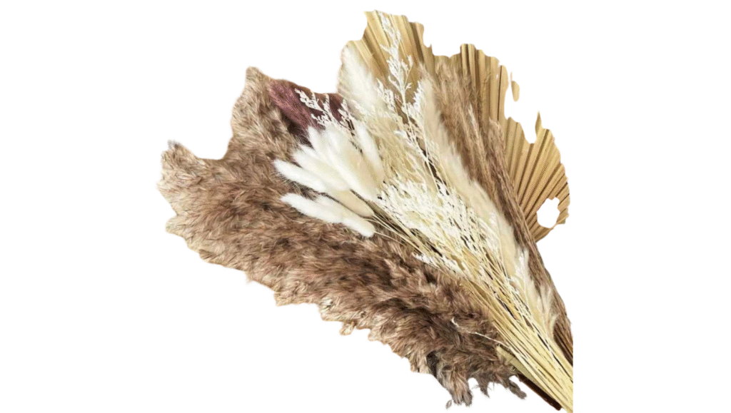 Fleurs et Feuilles seches / LOCATION