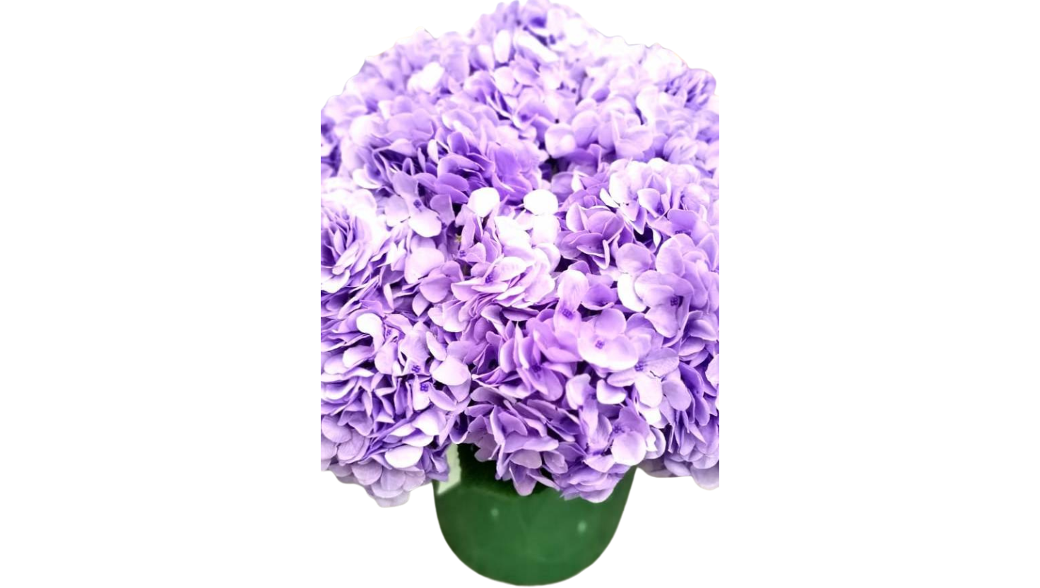 Fleurs violettes / LOCATION – Image 2