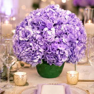 Fleurs violettes / LOCATION