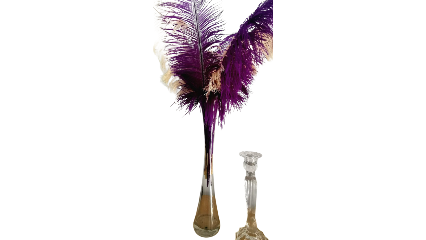 Vases / LOCATION – Image 4