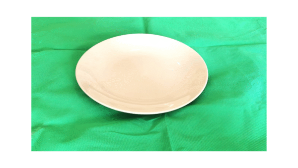 Assiette plate cassable – Image 4
