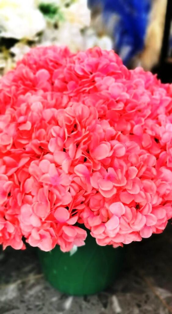 Fleurs artificielles Oranges / LOCATION