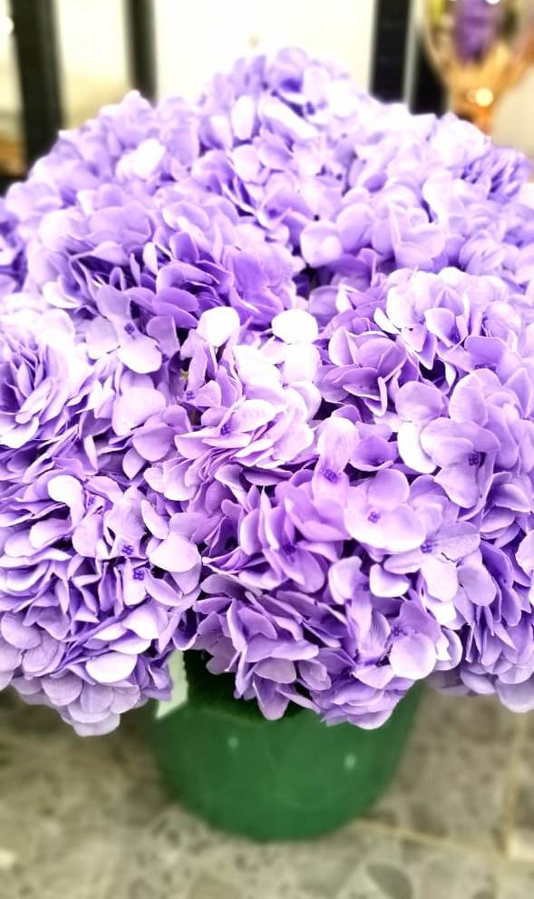 Fleurs violettes / LOCATION