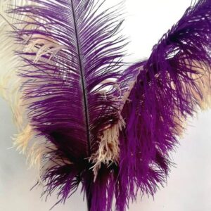 Plumes de decoration / LOCATION