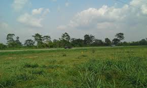 Terrain de 600 m2 a vendre a Alepe