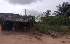 Terrain de 600 m2 a vendre a Alepe